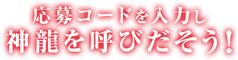 応募コードを入力し神龍を呼びだそう！