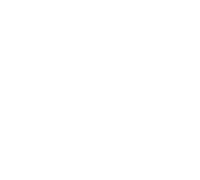 PHOENIXDARTS 20th ANNIVERSARY