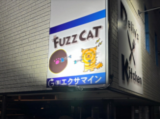 Darts Cafe Fuzz Cat