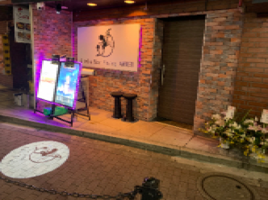 Girls Bar Fairy ANNEX