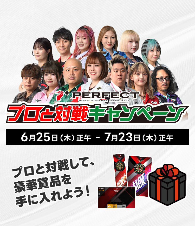PERFECTロゴ入り充電器 プロと対戦キャンペーン賞品 プロと対戦キャンペーン｜ PHOENIXDARTS