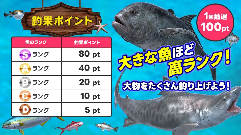 ポイントチャンス賞品