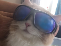 user picture1