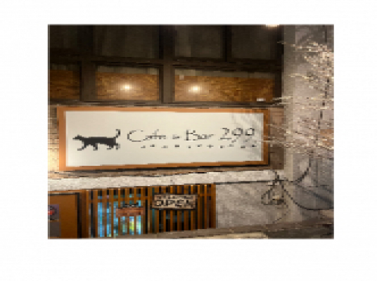 Cafe&Bar 299
